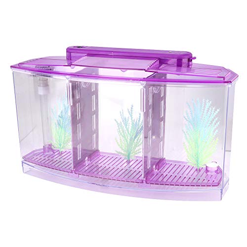 Small Fish Isolation Fish Tank, LED Acrylic Aquarium Fish Tank, Transparent Fish Isolation Box with 2 Isolation Plates for Small Fishes Betta Shrimp Guppy (Lightpurple)