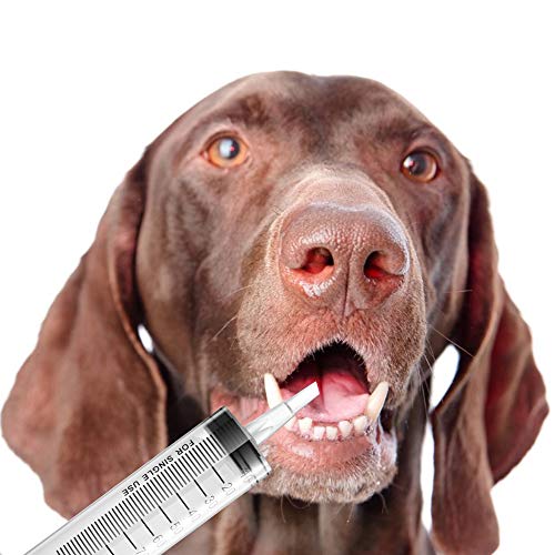 2 Pack Large Syringes, Large Plastic Garden Industrial Syringes for Scientific Labs, Measuring, Watering, Refilling, Filtration Multiple Uses (100 ML) - size: 100 ML