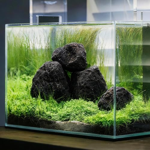 2.2-6.1 Inches Natural Black Lava Rock, 4 PCS Small Aquarium Rocks for Aquascaping, Terrariums, Reptile Tanks & Aquarium Décor - size: 2.2-6.1 in