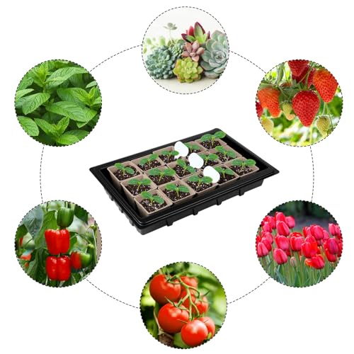 Aodaer 193 Pack Seed Starter Kit Including Seed Starter Tray Peat Pots for Seedlings with Plant Labels, Tool, Plastic Growing Trays Germination Tray Paper Seedling Cups for Indoor Outdoor Garden