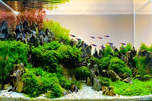 Aquarium Ohko Dragon Stone Rock Mixed Sizes - size: 5 LB