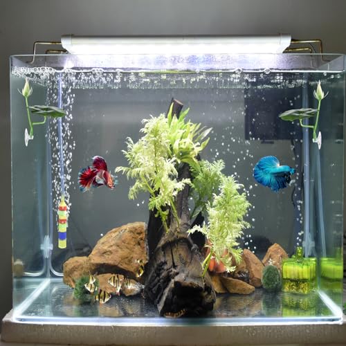 QfwdfcTrenz 3 Pcs Betta Fish Bed Betta Leaf Hammock Suction Cup Tank Decor Fish Toys Leaf Pad Leaves Tank Accessories Simulates Natural Habitat Comfortable Rest Area