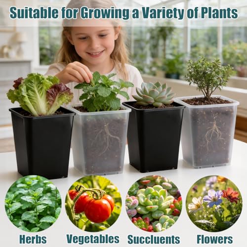 Nursery Pots 6 Inch 40 Pcs, Plastic Seed Starting Pot with Drainage Holes, Sturdy Seedling pots for Planting, Cuttings, Clear - color: Clear, size: 6 Inch-40P
