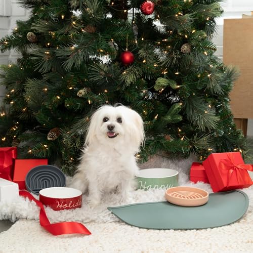 Waterproof Silicone Dog Food Mat – Large Size Non-Slip Pet Bowl Mat, Raised Edge Design, Easy-to-Clean Pet Food Placemat for Dog & Cat Bowls, 28" Across x 14" Deep - Charcoal - color: Charcoal, size: Large