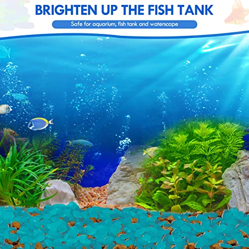 1000PCS Blue Glow in The Dark Stones Luminous Stones Glow in The Dark Rocks for Fish Tank Aquarium Driveway Walkway - size: 1000, style: Blue