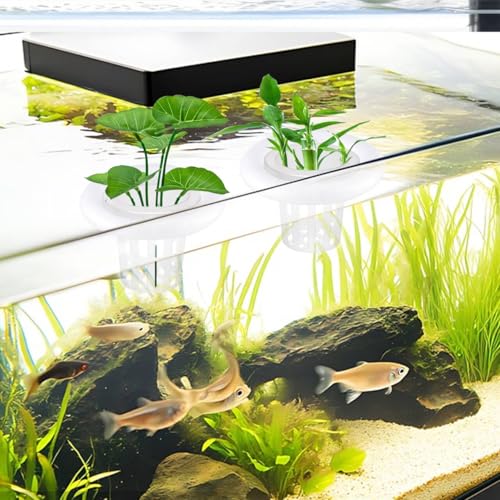 4 PCS Floating Aquarium Plant Holder Plastic Fish Tank Basket | with Foam Rings, Aquatic Pot for Fish Tank Aquaponic Plant Cultivation and Aquascape Decorations