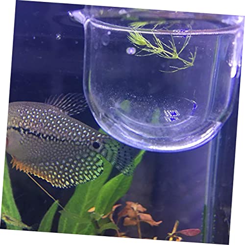 2-Pack Glass Feeding Cup for Aquarium Fish Feeder Shrimp Eggs Food Aquarium Equipment Aquatic Supplies - size: L