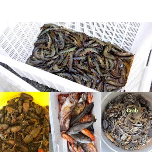 32in x 10in Folded Fishing Bait Trap, 10 Holes 10 Sides Foldable Fishing Nets for Fish/Crab/Shrimp/Crawdad, Upgrade Large Space,Bait Bag/Bait Box/Rope/Storage Bag