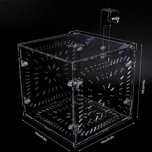 Acrylic Fish Breeding Box 20x20x20cm Mesh Rearing Trap for Baby Shrimp Clownfish Guppy, Isolation Board Prevents Adult Attack, Adjustable Suction Cup Fixation for Aquarium Hatchery - size: 15CM*15CM*15CM