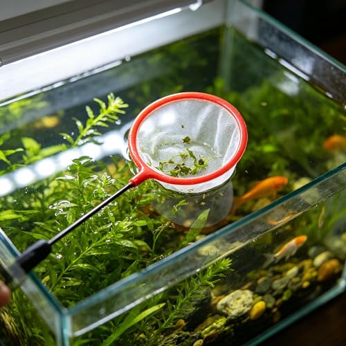 Aquarium Fish Net, 7.6 cm Fine Mesh, Small Tank Skimmer, with 23 cm Long Handle Aquarium Net Fine Mesh Small
