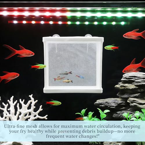 MY MIRONEY 6.3" x 5.63" x 6.22" Fish Incubator Mesh Box Pack of 2 | Aquarium Fish Breeder Box White Nylon Mesh Juvenile Fish Separation Net Fish Fry Hatchery with Suction Cups - style: 6.3" x 5.63" x 6.22"; White; without Divider