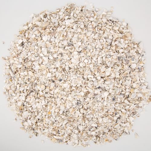 QEQEKAKA Crushed Oyster Shells About 2LB (880g/31OZ) Contains Calcium Small Natural Crushed Shells Bulk