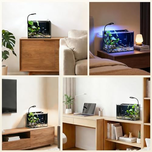 2.5 Gallon Small Fish Tank, Nano Aquarium with Ultra-Clear Glass, LED Light, Filter, Lid, Gravel and Rock, Desktop Beta Fish Aquarium Perfect for Shrimp, Snails or Live Plants