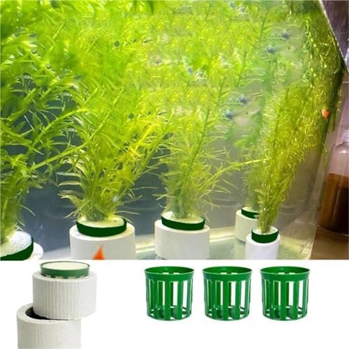 25 Sets Aquarium Water Plant Fixed Rings with Cotton Lining and Basket for Decoration