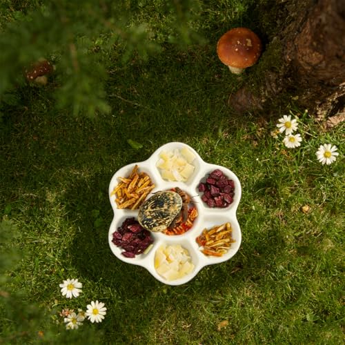 2 Pack Terrarium Bowls, Hermit Crab Water Dishes & Water Bowl | Ceramic Hermit Crab Accessories, Anti-Turning Bowl for Feeding & Hydration, Terrarium Pet Supplies