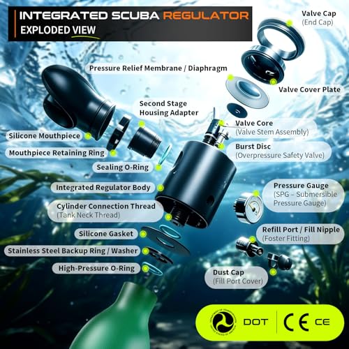 GOYOJO Mini Scuba Tank, Portable Diving Lung Air Tank with DOT Certified | Refillable Emergency Backup Pony Bottle for Snorkeling, Underwater Breathing, Training - color: 0.5L Submariner Hulk