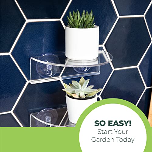 Window Garden Veg Ledge Suction Cup Window Shelf – Create an Indoor Garden, Hold Your Planter Pots, Seed Starter, Figurines on Your Window. Grow Herbs, Microgreens, Succulents, Sleek (3 Pack) - size: 3 Medium (Original)