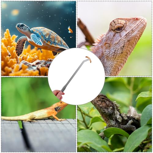 2Pcs Long Aquarium Tweezers, 10.6" Straight and Curved Tweezers, Stainless Steel Reptile Feeding Tongs, Terrarium Tools Feeder for Lizards, Bearded Dragon Tank Accessories