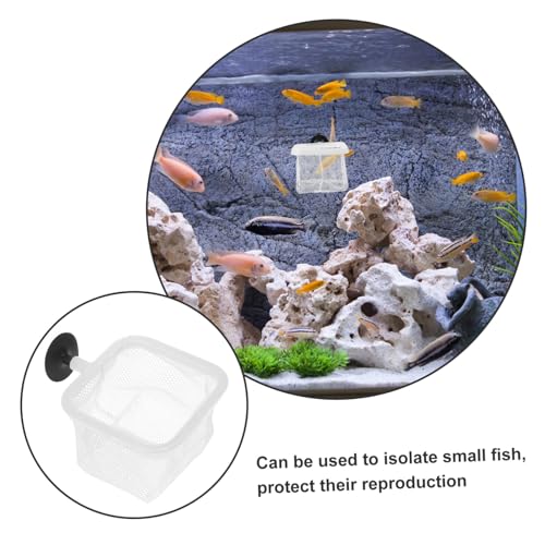 BESPORTBLE 5pcs Fish Breeding Net Cups Aquarium Separator Mesh for Safe Fry and Lightweight Isolation Net for Fish Tanks