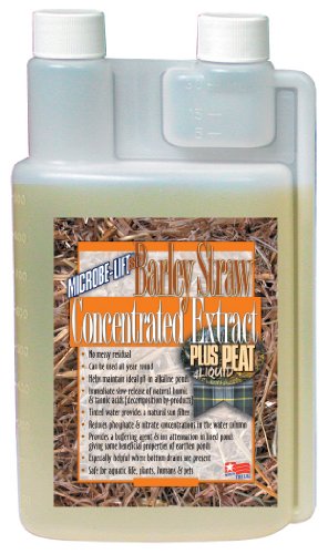 MICROBE-LIFT BSEP64 Concentrated Barley Straw Extract Plus Liquid Peat Conditioner for Ponds and Outdoor Water Garden, Safe for Live Koi Fish, Plants, and Decorations, 64 Ounces - size: 64 Ounces