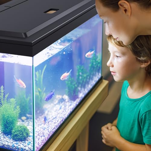 LED Aquarium Hood, Colored Lights, Fits 24" Framed Aquariums, Black | Adjustable-Brightness Colored Light Tubes, Replaceable Full-Length Bulb, Fits 24-Inch Framed Aquariums