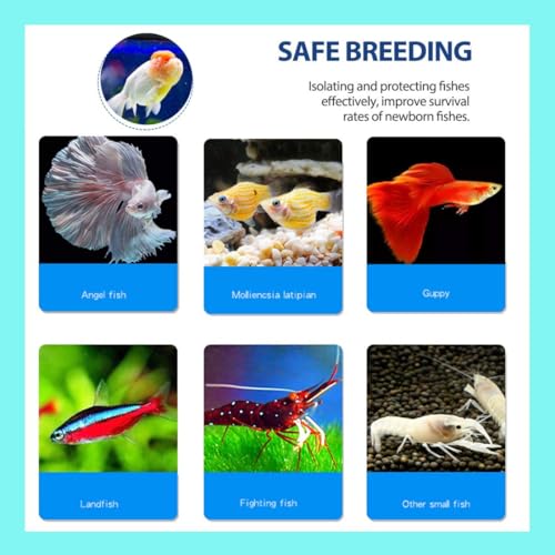 Hamiledyi Acrylic Breeding Isolation Box - Transparent Aquarium Hatchery for Guppy/Shrimp/Small Fish, Safe Nursery Tank with Air Tube & Suction Cups(7.8" × 3.9" × 3.9") - size: M(7.8" 3.9" 3.9")
