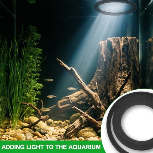 6PCS Aquarium Floating Plant Corral, Round Black EVA Fish Feeding Ring Set, Fish Tank Accessories for Mini Betta Tank, Floating Plants Holder|Feeder|Corral - style: 6 Round