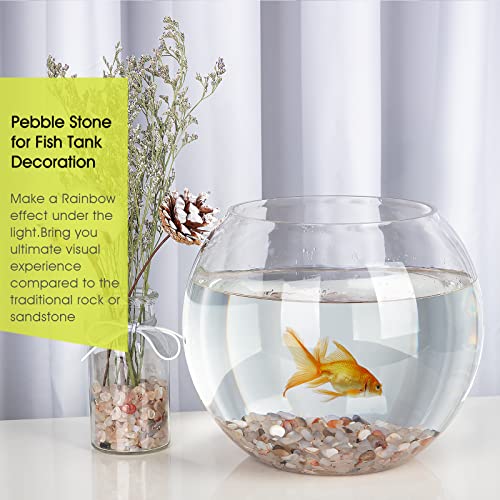 Decorative Polished Rocks, RIFNY 0.3" Gravel Rocks Crushed Crystal for Plant Flower Pots Succulents Cactus Bamboo Plant Vase Filler Aquarium Fish Tank Decorations and DIY Craft (1.5 LB, White) | for Plant Flower Pots Succulents Cactus Plant Vase Filler Aq