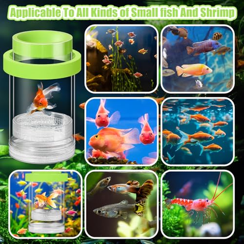 Beeveer 2 Pcs Breeder Box for Fish Tank Aquarium Breeder Separation Net Breeding Box with Suction Cup for Small Fish Shrimp Clownfish Guppy(Green,M)
