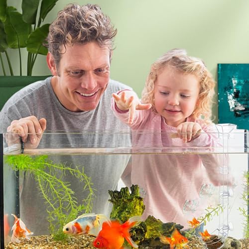 Aquarium Shrimp Feeding Tube Clear Shrimp Feeder Tray Dish Set | Fish Aquarium Fish Feeder Kit for Fish Tank - size: 38CM feeding tube + cleaning brush + feed spoon