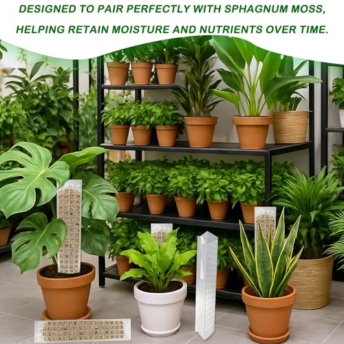 10 Pcs 15 Inches Plastic Moss Pole for Plants Monstera Set with 5 Pcs Velcro Strips for Climbing Plants Plant Support for Indoor Plants Garden Ties with Sphagnum Moss