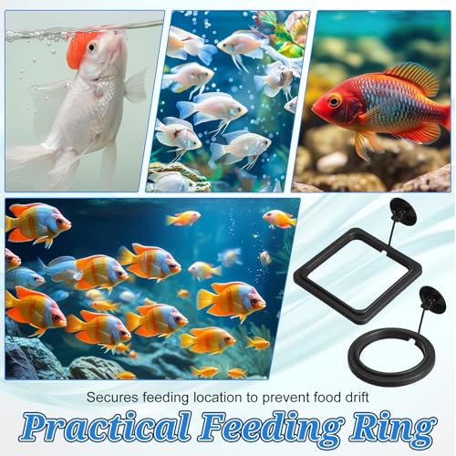 2 PCS Fish Feeding Ring, Aquarium Feeding Ring Floating Fish Feeder Rings with Strong Suction Cup for Guppy, Betta, Goldfish and Other Small Fishes (Square and Round Shape)