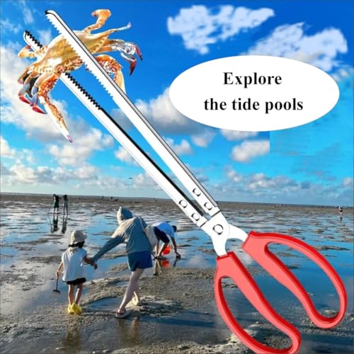 2 Pcs Tongs for Live Crab, Reptile Feeding, Snake, Charcoal, etc.