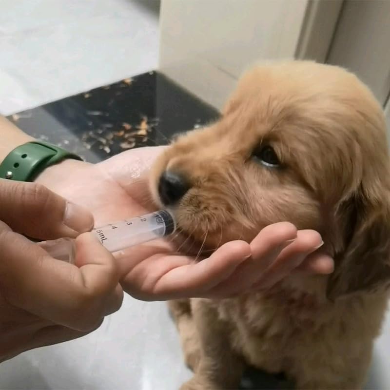 5ml Oral Syringe Without Needle, 5cc Syringe for Pet Feeding, Non-Sterile | 30 Pack 5mL no-needle plastic syringes. Clear measuring scale. Ideal for pets, lab and gardening. reusable liquid tool - size: 5ml, style: 30