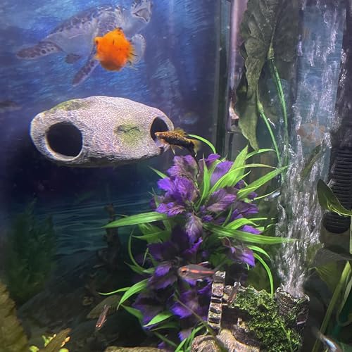 Aquarium Decor Magnetic Rock Cave Ornament – Wall-Mounted Fish Tank Accessory