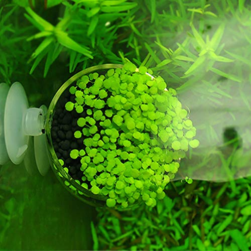 capetsma 2X Crystal Glass Aquatic Plant Pot, Planter, Red Shrimp Live Plants Fish Tank Holder with 4X Suction Cups for Aquarium Aquascape Decoration… - size: 2 Count (Pack of 1)