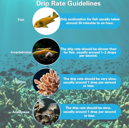 Drip Acclimation Kit for Saltwater and Freshwater Aquariums, Fish Tanks Accessories for Shrimp, Marine Fish, Coral,Plants
