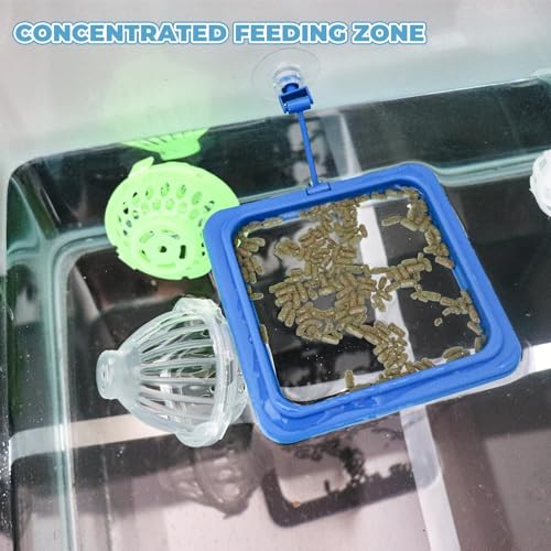 Turtle Aquarium Accessories, Tortoise Habitat Set with 1 Feeding Ring with Suction Cup 4 Nitrifying Balls and 4 Feeding Ball, Toys for Aquatic Turtles, Turtle Supplies