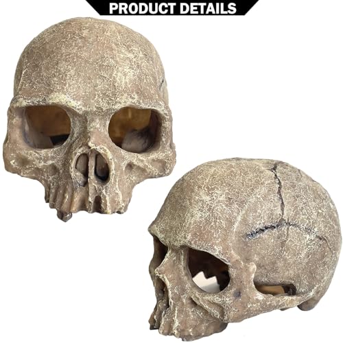 Aquarium Decoration for Fish Tank Skull Head Rock Cave-Small | Fish Tank Ornament Decorative Hideouts Landscape Aquarium Decor Reptile House Cave Aquarium Decoration