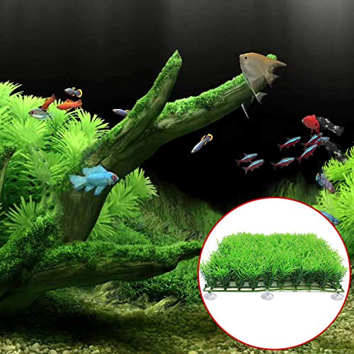 FEBSNOW Aquarium Suction Cups with Ties, Fish Tank Plant Holders | 20 Pack Clear Suction Cups, 30 Pcs Adjustable Cable Ties, for Aquarium Fish Tank Plants Moss Shrimp Nest, Strong Grip Hold