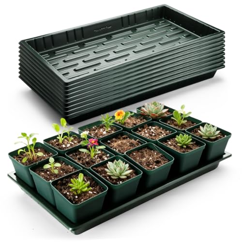 RooTrimmer 10 Pack Heavy Duty 1020 Trays No Holes - 1.6 Inch Deep Shallow Nursery Flats, Reusable Seed Starter Trays for 72/128 Cell Inserts, Microgreens, Seedling and Hydroponics (Dark Green) - size: TD538-10P-Dark Green