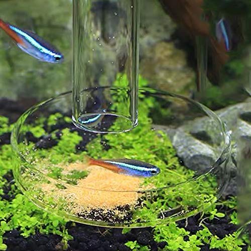 Ailindany 300mm Fish Feeder Tube Aquarium Clear Glass Feeder Tube for Fish Tank Shrimp Feeding with 2pcs Suction Cups