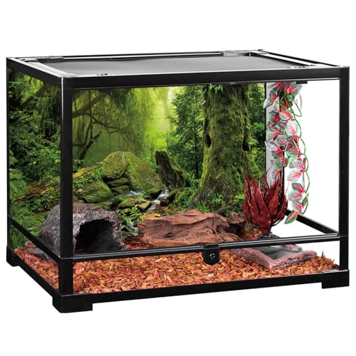 Forest Green Tree Terrarium Backdrop Reptile Habitat Background 30x12 in | AWERT Tropical Foggy Rainforest Stream Aquarium Durable Polyester Background - size: 30 x 12 inches
