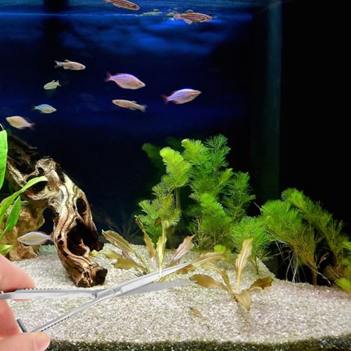 Aquarium Water Grass Stainless Steel Spring Action Curved Aquatic Plant Tongs Fish Tank Landscaping Tools for Aquarium Embroidery
