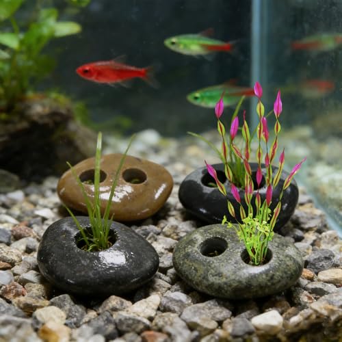 6PCS Aquarium Plant Weights, Live Rocks, Plant Weights for Fish Tank, Unique Shape and Size, Suitable for Decorating Fish Tanks, 0.91" 2Holes - size: Two Holes