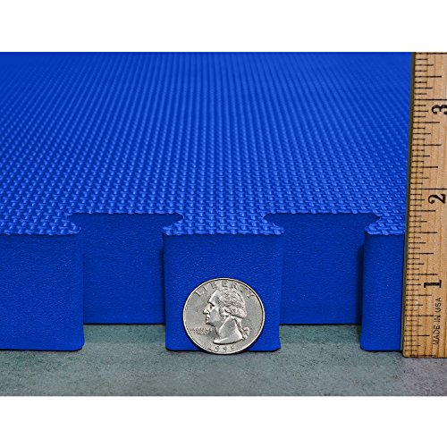 Meister X-Thick 1.5" Interlocking EVA Foam Mats - BL - 36 Tiles (144 Sqft) | Extra-thick 2X cushioning w/ anti-slip grip. 2' x 2' puzzle mats for wrestling, MMA, gymnastics, home gyms and play areas - color: Blue, size: 36 Tiles (144 Sqft)