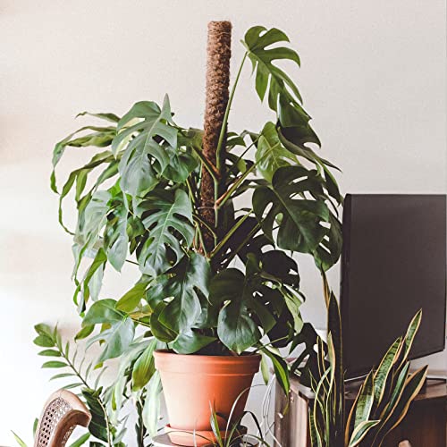 【4 Pack】 JJGoo Moss Pole, 17 inch Coco Coir Totem Poles Extending to 53 Inches, Plant Support Stick Plant Poles for Indoor Plants Climbing Plants Monstera, Sphagnum, Pothos - size: 4 Pack 17 inch