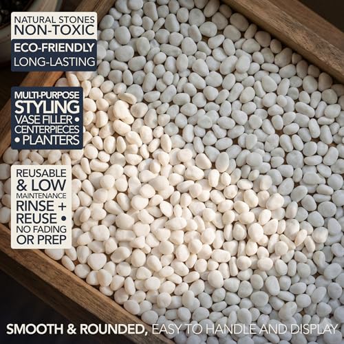 Royal Imports River Rocks, Aquarium Gravel – White 0.5"- 0.75" - 30 lbs | Decorative Ornamental Vase Filler Pebbles for Potted Plants, Terrariums, Vases, Succulents, Fish Tank Gravel, DIY & Crafting - size: Small - 30 lbs, style: White
