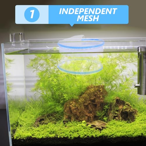 Aquarium Breeding Box Fish Spawning Incubator Nylon Floating Mesh Isolation Chamber for Fish Tank Fry Nursery Suitable for Guppy Betta Shrimp Hatchery