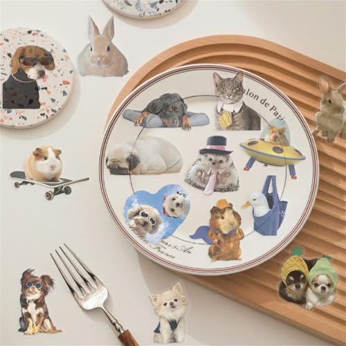 50Pieces Cat Dog Meme Stickers, Funny Animal Transparent PET Sticker Self-Adhesive Scrapbooking Stickers Supplies Journal Stocking Stuffers for Kid Adult Card Making Letters DIY (CDMEME-PET) - color: Cdmeme-pet